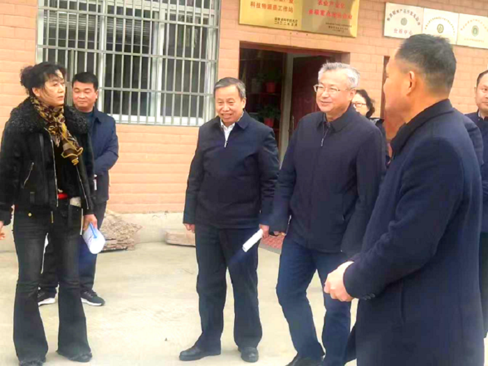寿县县委书记牛方括一行领导 到寿县稻米协会指导工作